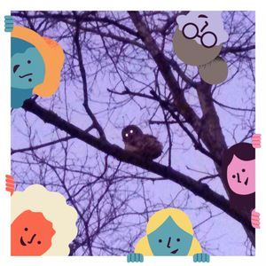 Meet your Posher, Renato